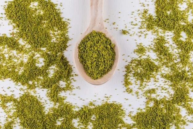 The Power of Moringa: Uses, Benefits, and Potential Risks
