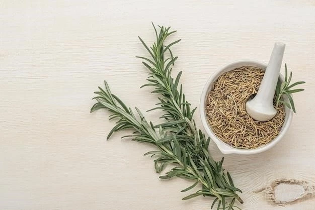 Medicinal Uses and Side Effects of Rosemary