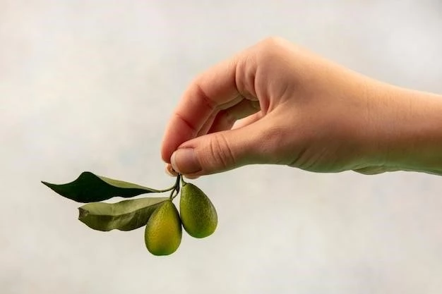 Olive Leaf Extract Benefits and Uses